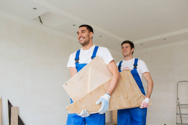 Shed Removal in East Hemet, CA